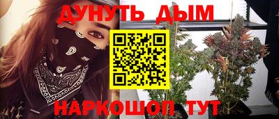 spice Вязники