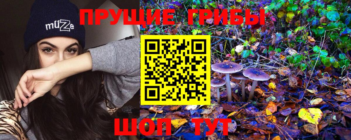 Псилоцибиновые грибы Magic Shrooms Дальнегорск