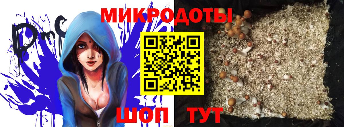Псилоцибиновые грибы Cubensis Дальнегорск