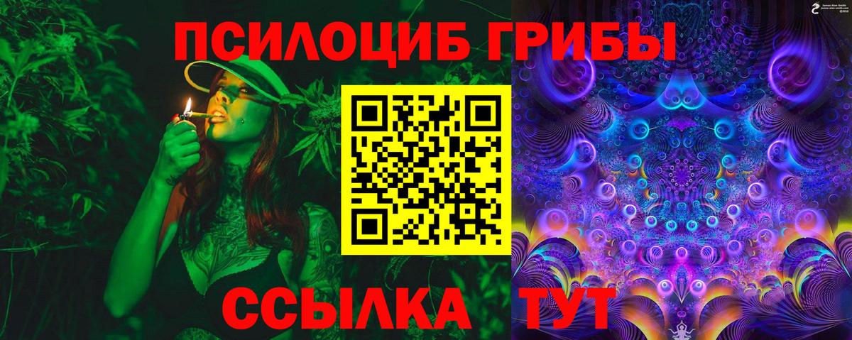 Дальнегорск  Псилоцибиновые грибы прущие грибы  Галлюциногенные грибы ЛСД  Вход с VPN 