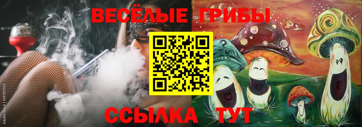 Галлюциногенные грибы Cubensis  Дальнегорск 